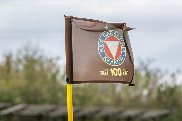 球隊戰術中 球隊戰術中