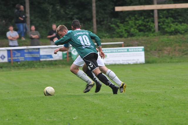 赛场承载的 赛场承载的