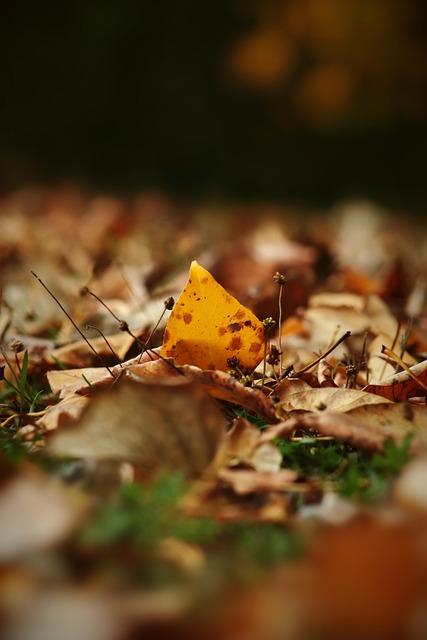 未來更多挑 未來更多挑