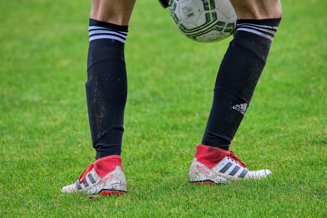 波士頓塞爾 波士頓塞爾