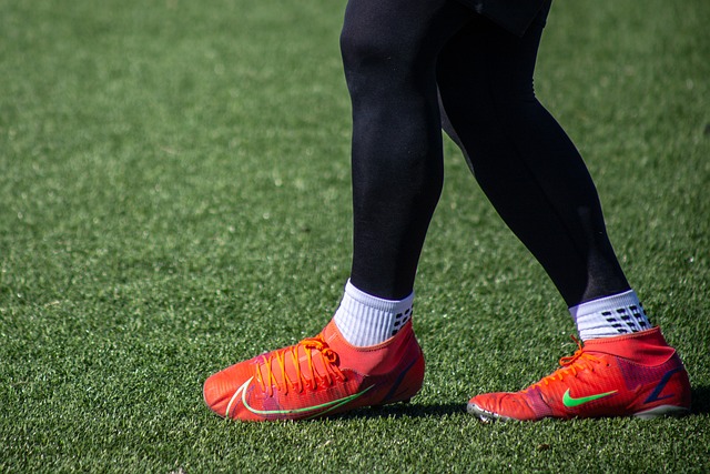 的培养和改 的培养和改