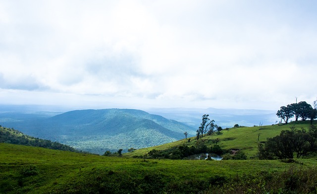 想留住坎塞 想留住坎塞